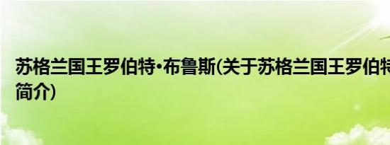 苏格兰国王罗伯特·布鲁斯(关于苏格兰国王罗伯特·布鲁斯的简介)