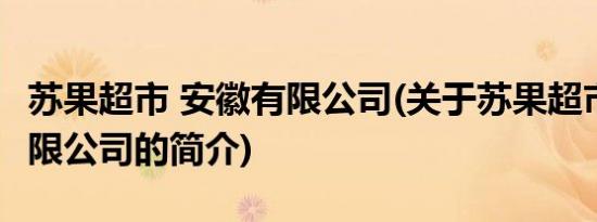 苏果超市 安徽有限公司(关于苏果超市 安徽有限公司的简介)