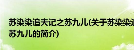 苏染染追夫记之苏九儿(关于苏染染追夫记之苏九儿的简介)