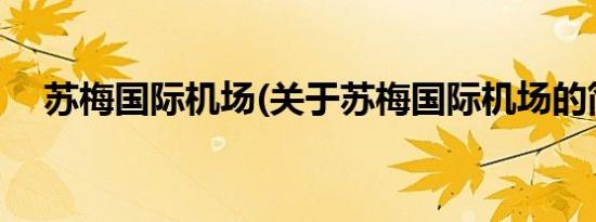 苏梅国际机场(关于苏梅国际机场的简介)