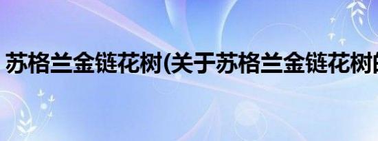 苏格兰金链花树(关于苏格兰金链花树的简介)