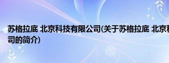 苏格拉底 北京科技有限公司(关于苏格拉底 北京科技有限公司的简介)