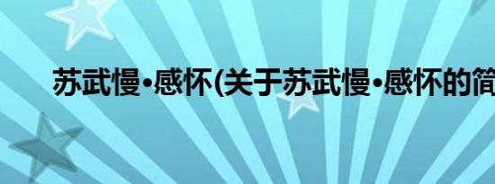 苏武慢·感怀(关于苏武慢·感怀的简介)