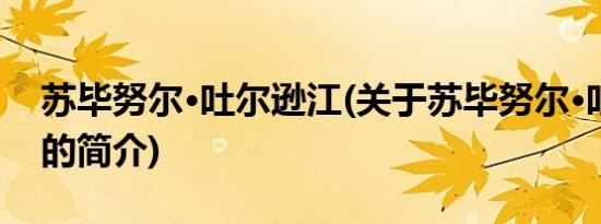 苏毕努尔·吐尔逊江(关于苏毕努尔·吐尔逊江的简介)