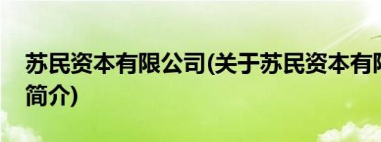 苏民资本有限公司(关于苏民资本有限公司的简介)