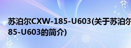 苏泊尔CXW-185-U603(关于苏泊尔CXW-185-U603的简介)