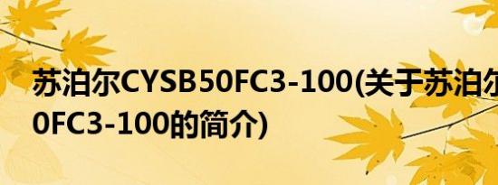苏泊尔CYSB50FC3-100(关于苏泊尔CYSB50FC3-100的简介)