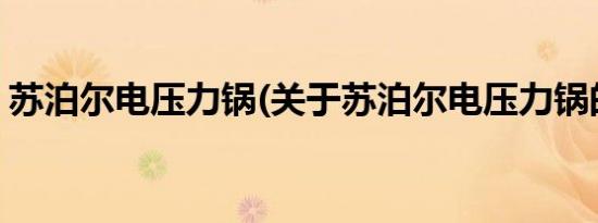 苏泊尔电压力锅(关于苏泊尔电压力锅的简介)