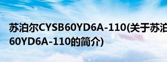 苏泊尔CYSB60YD6A-110(关于苏泊尔CYSB60YD6A-110的简介)