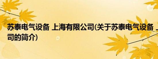 苏泰电气设备 上海有限公司(关于苏泰电气设备 上海有限公司的简介)