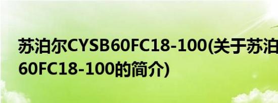 苏泊尔CYSB60FC18-100(关于苏泊尔CYSB60FC18-100的简介)