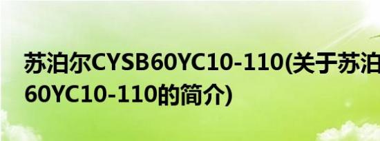 苏泊尔CYSB60YC10-110(关于苏泊尔CYSB60YC10-110的简介)