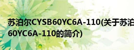 苏泊尔CYSB60YC6A-110(关于苏泊尔CYSB60YC6A-110的简介)