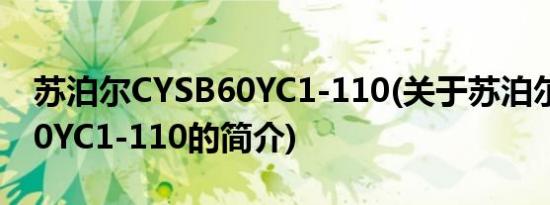 苏泊尔CYSB60YC1-110(关于苏泊尔CYSB60YC1-110的简介)