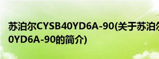 苏泊尔CYSB40YD6A-90(关于苏泊尔CYSB40YD6A-90的简介)