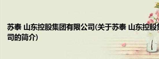 苏泰 山东控股集团有限公司(关于苏泰 山东控股集团有限公司的简介)