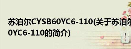 苏泊尔CYSB60YC6-110(关于苏泊尔CYSB60YC6-110的简介)