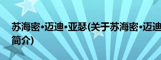 苏海密·迈迪·亚瑟(关于苏海密·迈迪·亚瑟的简介)