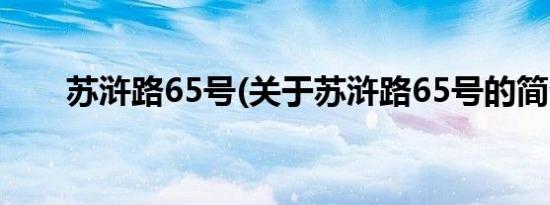 苏浒路65号(关于苏浒路65号的简介)