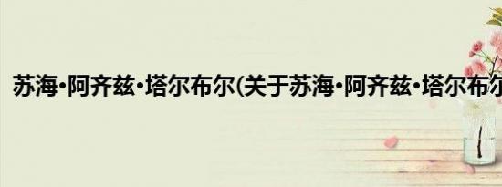 苏海·阿齐兹·塔尔布尔(关于苏海·阿齐兹·塔尔布尔的简介)