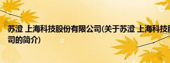 苏澄 上海科技股份有限公司(关于苏澄 上海科技股份有限公司的简介)