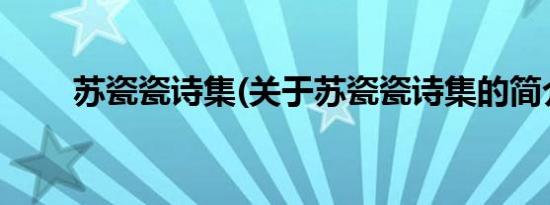 苏瓷瓷诗集(关于苏瓷瓷诗集的简介)