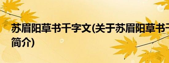 苏眉阳草书千字文(关于苏眉阳草书千字文的简介)