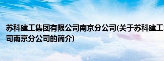 苏科建工集团有限公司南京分公司(关于苏科建工集团有限公司南京分公司的简介)