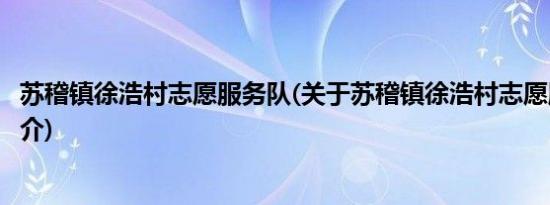 苏稽镇徐浩村志愿服务队(关于苏稽镇徐浩村志愿服务队的简介)