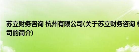 苏立财务咨询 杭州有限公司(关于苏立财务咨询 杭州有限公司的简介)