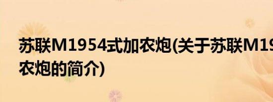 苏联M1954式加农炮(关于苏联M1954式加农炮的简介)