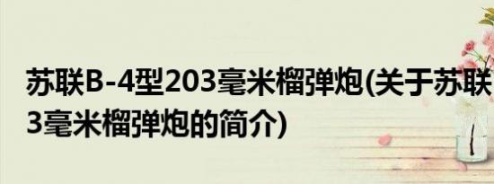 苏联B-4型203毫米榴弹炮(关于苏联B-4型203毫米榴弹炮的简介)