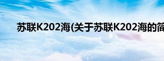 苏联K202海(关于苏联K202海的简介)