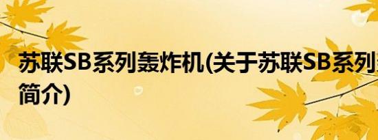 苏联SB系列轰炸机(关于苏联SB系列轰炸机的简介)