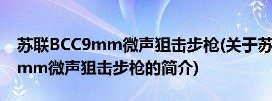 苏联BCC9mm微声狙击步枪(关于苏联BCC9mm微声狙击步枪的简介)