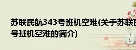 苏联民航343号班机空难(关于苏联民航343号班机空难的简介)