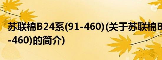 苏联棉B24系(91-460)(关于苏联棉B24系(91-460)的简介)