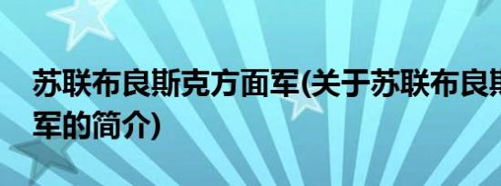 苏联布良斯克方面军(关于苏联布良斯克方面军的简介)