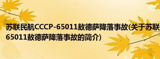 苏联民航CCCP-65011敖德萨降落事故(关于苏联民航CCCP-65011敖德萨降落事故的简介)