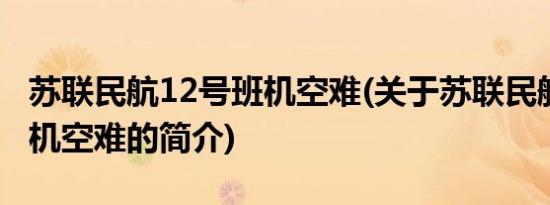 苏联民航12号班机空难(关于苏联民航12号班机空难的简介)