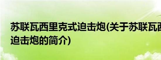 苏联瓦西里克式迫击炮(关于苏联瓦西里克式迫击炮的简介)