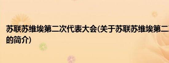 苏联苏维埃第二次代表大会(关于苏联苏维埃第二次代表大会的简介)