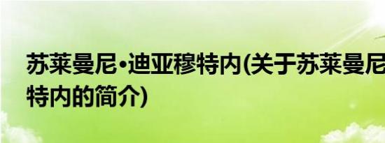 苏莱曼尼·迪亚穆特内(关于苏莱曼尼·迪亚穆特内的简介)