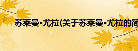 苏莱曼·尤拉(关于苏莱曼·尤拉的简介)