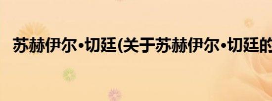 苏赫伊尔·切廷(关于苏赫伊尔·切廷的简介)