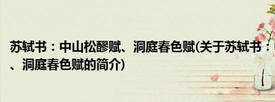 苏轼书：中山松醪赋、洞庭春色赋(关于苏轼书：中山松醪赋、洞庭春色赋的简介)