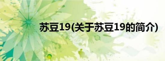 苏豆19(关于苏豆19的简介)