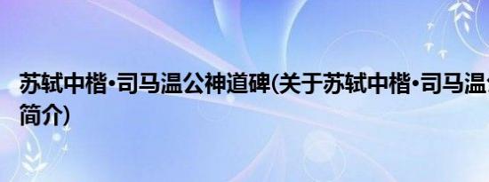 苏轼中楷·司马温公神道碑(关于苏轼中楷·司马温公神道碑的简介)