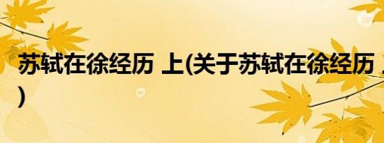 苏轼在徐经历 上(关于苏轼在徐经历 上的简介)