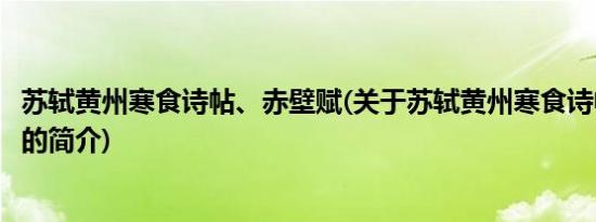 苏轼黄州寒食诗帖、赤壁赋(关于苏轼黄州寒食诗帖、赤壁赋的简介)